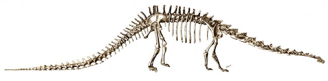 Giving some love to the little runner of the #MorrisonFormation,  #Dryosaurus! Tags • #Jurassic #dinosaur #ornithopod #ornithischia…